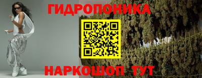 прущие грибы Кингисепп