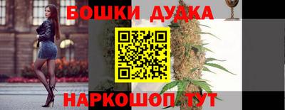 прущие грибы Кингисепп